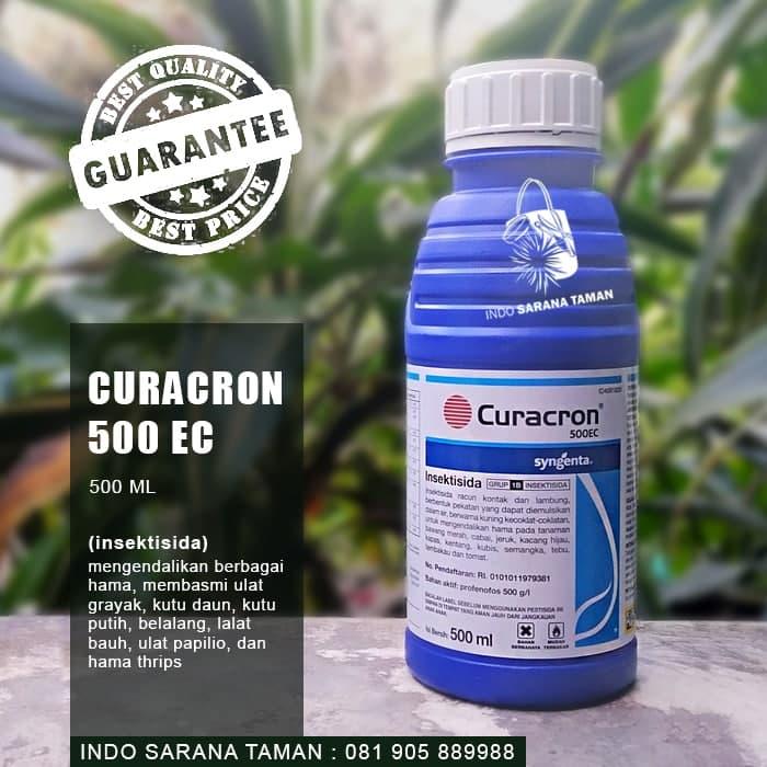 Gambar Insektisida CURACRON 500EC 500ml Pembasmi Hama Obat Hama Obat Tanaman dari Indo Sarana Taman Kota Denpasar Tokopedia