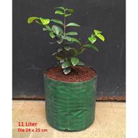 Gambar Planter Bag Easy Grow 11 Liter No Handle - Hijau dari Easy Grow_NEW Kab. Gunungkidul 1 Tokopedia