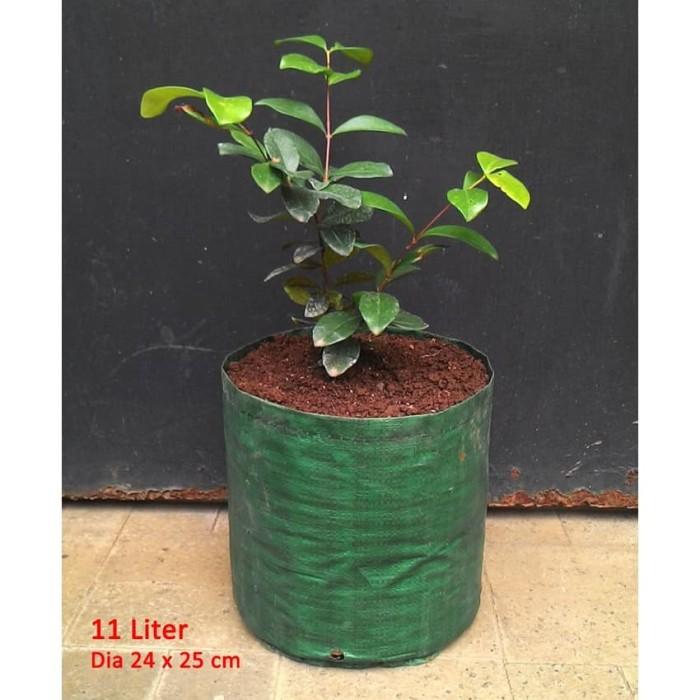 Gambar Planter Bag Easy Grow 11 Liter No Handle - Hijau dari Easy Grow_NEW Kab. Gunungkidul Tokopedia