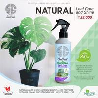 Gambar Semir Alami untuk Pengkilap daun tanaman hias Water Base plus vitamin dari Rayesha Store. Kota Bogor 3 Tokopedia