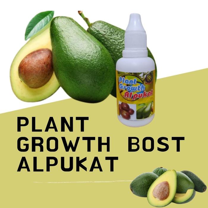 Gambar Pupuk Hormon Booster Alpukat Pemicu Cepat Berbunga Berbuah dari Markas Tani Kab. Kebumen Tokopedia