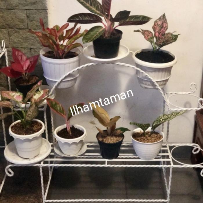 Gambar Rak pot bunga pelangi lingkar muat 10 pot dari Ilhamtamanindah1 Kab. Bogor Tokopedia