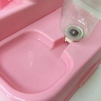 Gambar MierrPet Home Tempat Makan Anjing Kucing Automatic Pet Food Dispenser dari Eksekutif Semarang Kota Semarang 4 Tokopedia
