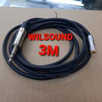 Gambar KABEL AUDIO CANARE AKAI STEREO 6.5MM TO MINI STEREO FEMALE 3.5MM 3M dari WILSOUND Kota Administrasi Jakarta Barat 1 Tokopedia