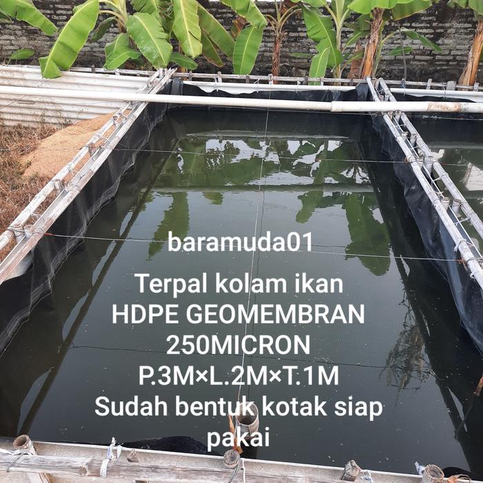 Gambar Terpal kolam ikan ukuran 3×2×1m HDPE Geomembran micron 250 dari baramuda01 Kab. Pemalang Tokopedia