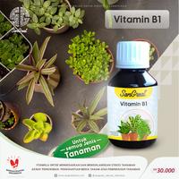 Gambar Vitamin B1 Alami agar Tanaman Tidak Stess dan Tahan Penyakit dari Rayesha Store. Kota Bogor 1 Tokopedia