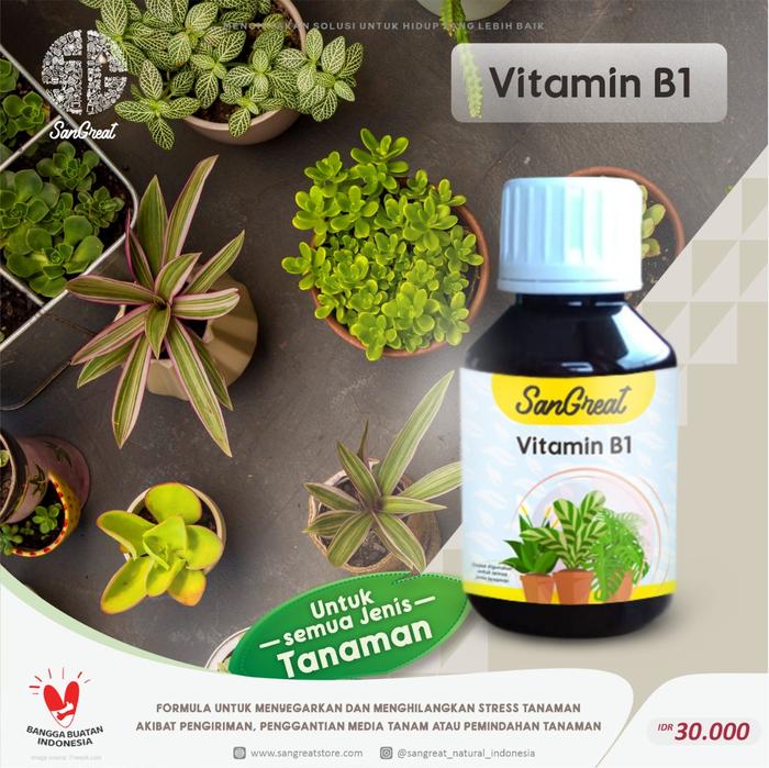 Gambar Vitamin B1 Alami agar Tanaman Tidak Stess dan Tahan Penyakit dari Rayesha Store. Kota Bogor Tokopedia