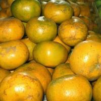 Gambar Jeruk Medan 1 kg dari Aneka Sayuran Segar Kota Administrasi Jakarta Utara 1 Tokopedia