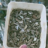 Gambar SPI MAGNET MURAH dari Nia vespa Kab. Malang 1 Tokopedia