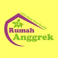 Gambar Kawat Pot Anggrek Gantung 40 cm kaki 4 besi plastik tali bulan dari Rumah Anggrek Mlg Kota Malang 4 Tokopedia