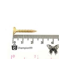 Gambar Sekrup GRC Kalsiboard 6 x 1 in/Skrup GRC 2,5 cm 25 mm/Calciboard Screw dari Champion99 Jakarta Utara 3 Tokopedia