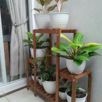 Gambar Rak Pot Tanaman Kayu Ulin Model "Gedung" Tahan Pot Yang Berat & KOKOH! dari shabbydniz.co Kota Bogor 3 Tokopedia