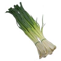 Gambar Daun bawang segar 500gr Bersih Buang Akar dari Aneka Sayuran Segar Kota Administrasi Jakarta Utara 4 Tokopedia