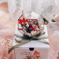 Gambar XMAS Terrarium Globe & Box - Special Angelica Petals (Kado Natal Bunga dari Angelica Petals Kota Tangerang Selatan 3 Tokopedia