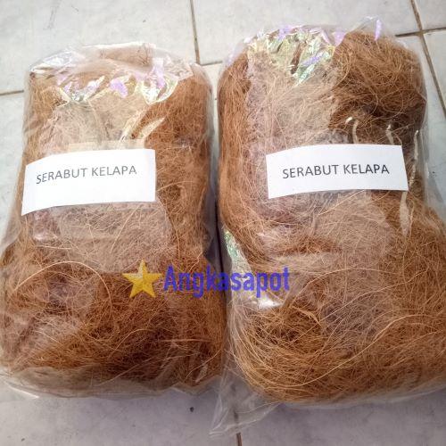 Gambar Serabut Kelapa Coco Fiber Cocofiber Ijuk Kelapa 100 gram dari Angkasapot Kota Tangerang Tokopedia