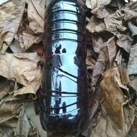 Gambar Ekstrak sari Daun Ketapang 100% asli Laut Pangandaran larutan pekat dari Yekita Betta Gallery Kab. Bandung 3 Tokopedia