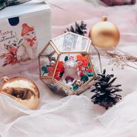 Gambar XMAS Terrarium Globe & Box - Special Angelica Petals (Kado Natal Bunga dari Angelica Petals Kota Tangerang Selatan 4 Tokopedia
