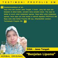 Gambar Obat Herbal Sekelan/ Benjolan Di Selangkangan/ Benjolan Di Paha dari QNC Gamat Pusat Karawang Kota Administrasi Jakarta Timur 2 Tokopedia