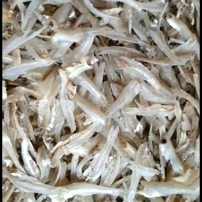Gambar ikan asin teri daging belah per 1kg dari Sumber Laut_NEW Kota Tangerang Tokopedia