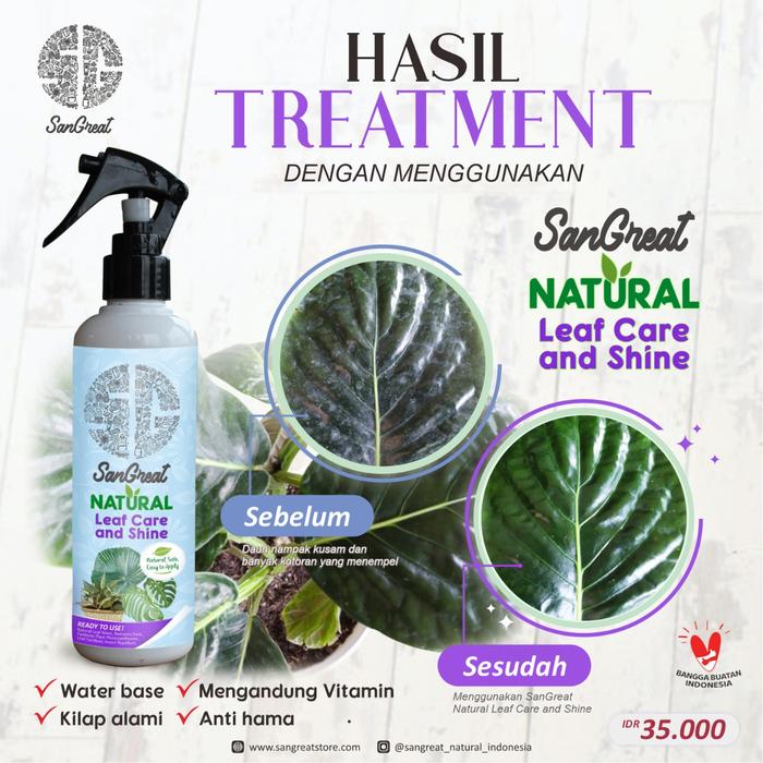 Gambar Semir Alami untuk Pengkilap daun tanaman hias Water Base plus vitamin dari Rayesha Store. Kota Bogor Tokopedia