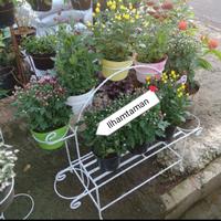 Gambar Rak pot bunga pelangi lingkar muat 10 pot dari Ilhamtamanindah1 Kab. Bogor 2 Tokopedia