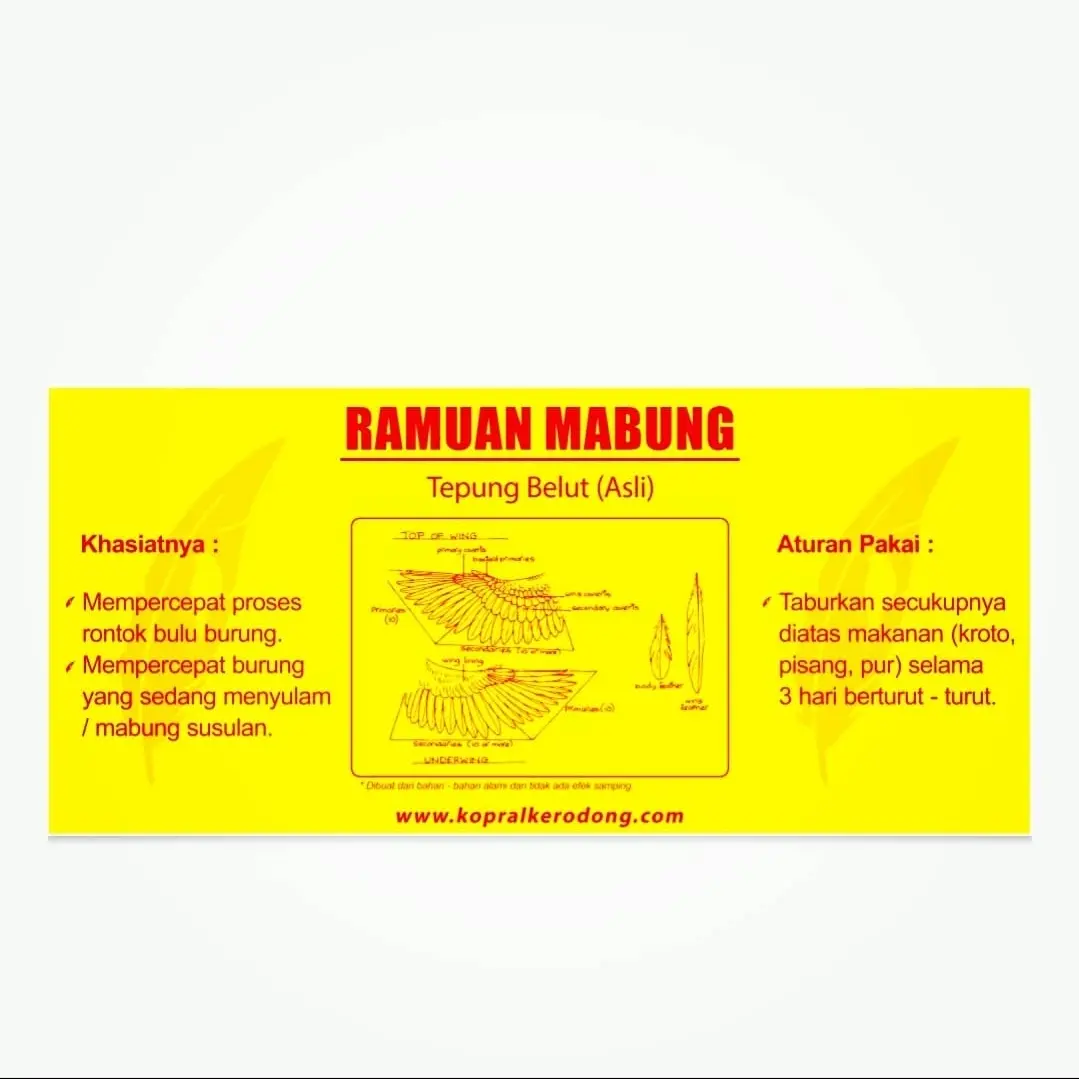 Ramuan Mabung Tepung Belut Asli