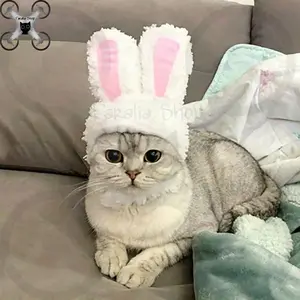 Aksesoris kucing bando kelinci untuk kucing kesayangan kostum kucing