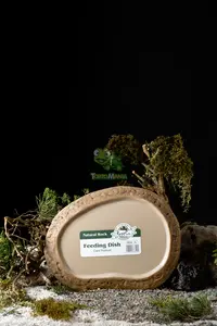 Feeding Dish size L / tempat makan reptil / kura kura darat