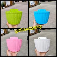 Gambar POT DINDING GENTONG 22 CM PUTIH BIRU PINK POT TEMPEL GENTONG CANTIK L dari Garden neng shop Kab. Bekasi 1 Tokopedia