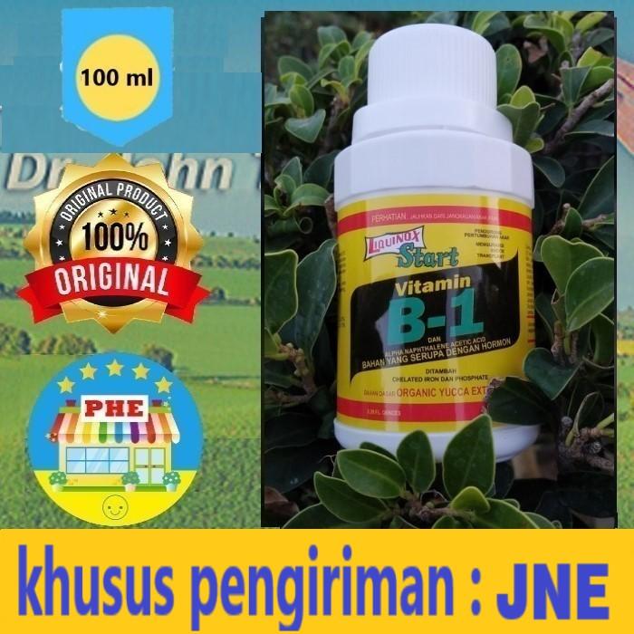 Gambar Vitamin B1 Pupuk Vitamin B1 Tanaman Liquinox Isi 100 ml dari Prima Hemat Kota Tangerang Tokopedia
