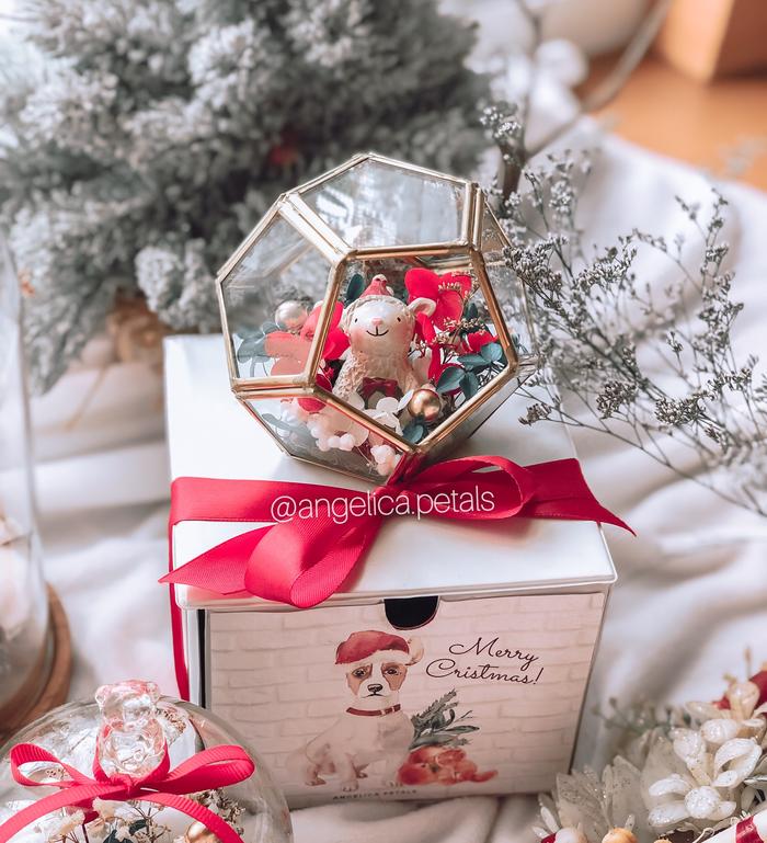 Gambar XMAS Terrarium Globe & Box - Special Angelica Petals (Kado Natal Bunga dari Angelica Petals Kota Tangerang Selatan Tokopedia
