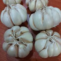 Gambar bawang putih curah dari BawangBagus Kota Tangerang 2 Tokopedia