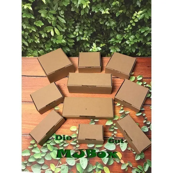 Kardus karton 20x8x3 cm.Die Cut kotak Aksesoris dll model box pizza 4