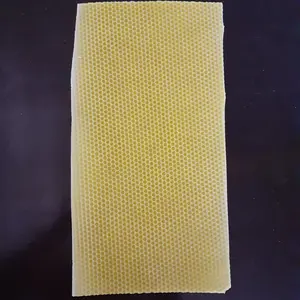 Pondasi sarang Lebah Apis Cerana