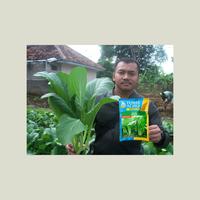 Gambar BENIH SAWI HIJAU ANDINI Kemasan Urban Farming dari Tunas Agro Persada Kab. Demak 4 Tokopedia