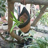 Gambar pot bunga sabut kelapa kombinasi model kerucut dari Omah Pot Kebumen Kab. Kebumen 5 Tokopedia