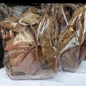 DAUN KETAPANG KERING OLAHAN SIAP PAKAI UNTUK CUPANG DAN IKAN AQUARIUM