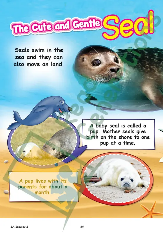 SCIENCE ADVENTURES Starter (5 to 6 years old) - Vol. 1 No. 5 4