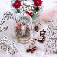 Gambar XMAS Terrarium Globe & Box - Special Angelica Petals (Kado Natal Bunga dari Angelica Petals Kota Tangerang Selatan 5 Tokopedia