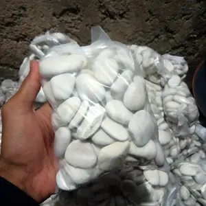 BATU KORAL PUTIH / BATU ALAM 1 KG