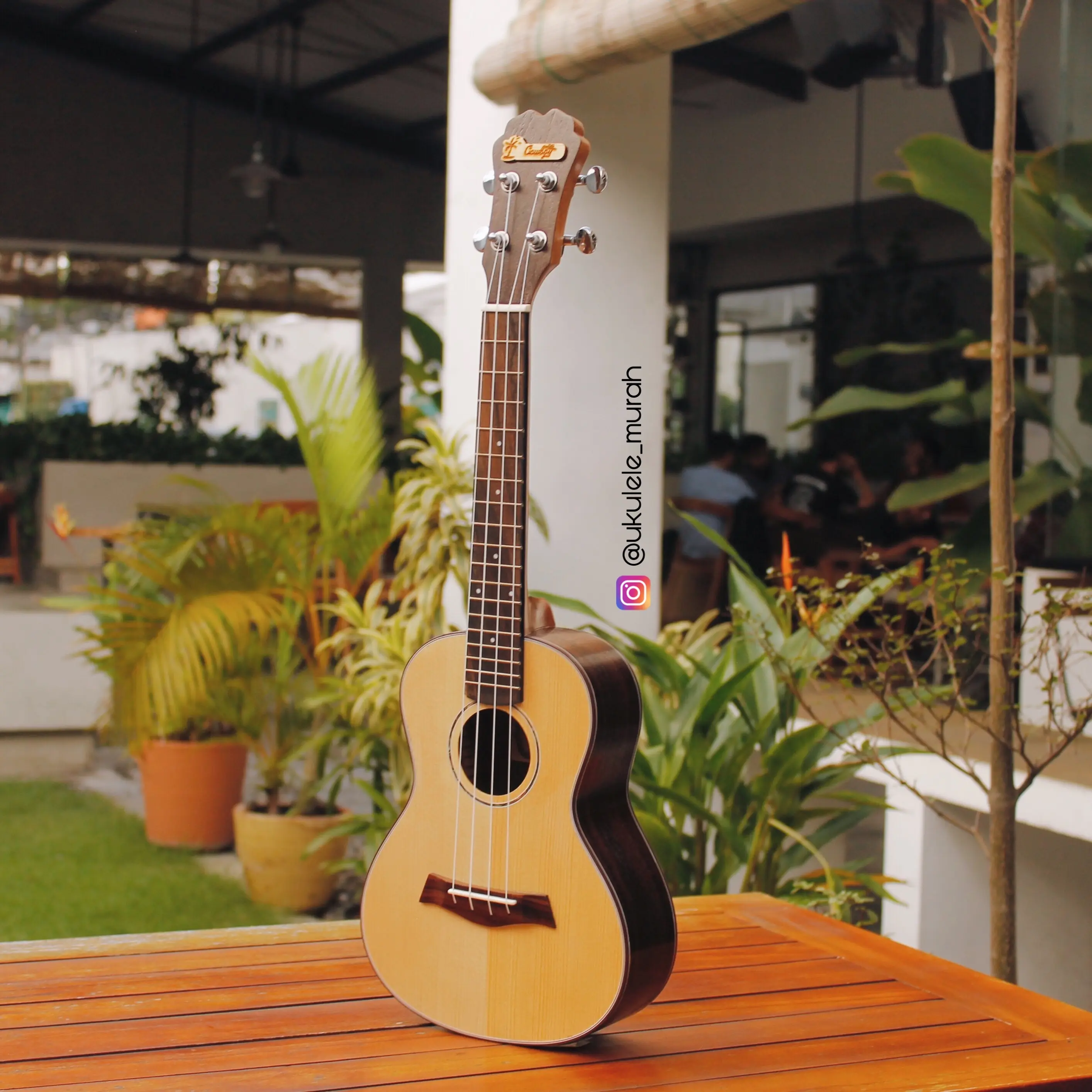 UKULELE COWBOY CONCERTO NATURAL FREE TAS PICK SENAR CADANGAN STRUMMING