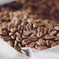 Gambar Kopi Kintamani Winey (Exclusive single origin) - 200 gram dari Jaya Coffee Roasters Kab. Gianyar 3 Tokopedia