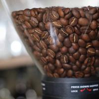 Gambar Kopi Kintamani Winey (Exclusive single origin) - 200 gram dari Jaya Coffee Roasters Kab. Gianyar 2 Tokopedia