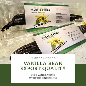 Vanilla Bean 1 batang Grade A, Vanilla pod,Vanillature,Vanilla Extract