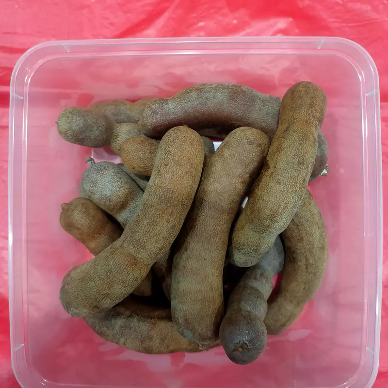 Buah Asam Bangkok / Sweet Tamarind 500gr Manis Thailand Harga Grosir 2