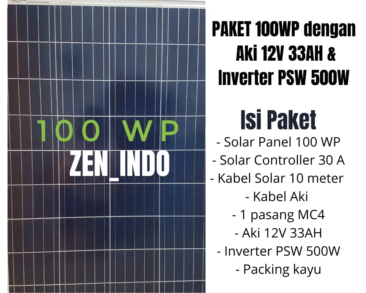 Paket Hemat Solar Panel 100WP, Aki 12 v 33 Ah dan Inverter PSW 500W