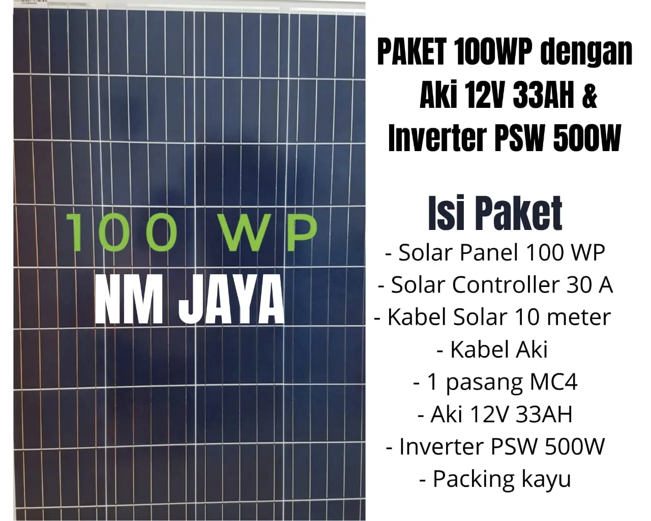 Paket Hemat Solar Panel 100WP, Aki 12 v 33 Ah dan Inverter PSW 500W