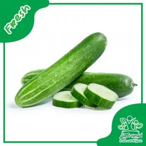 Timun - Sayur Kendal Fresh & Organic