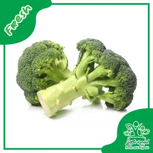 Brokoli Organik - Sayur Kendal