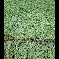 Gambar rumput sintetis second multiguna dari ivay Kab. Bekasi 3 Tokopedia